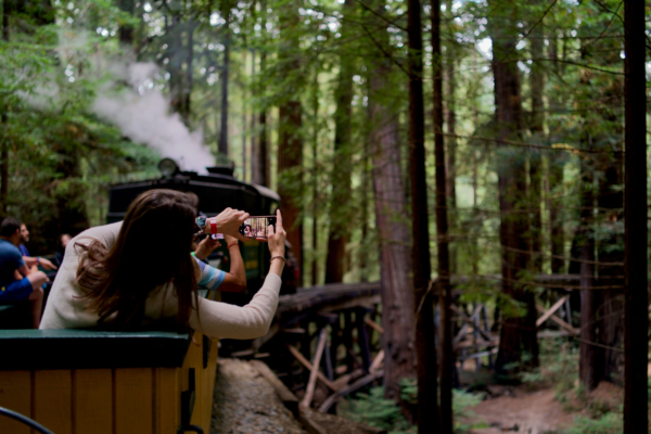 Redwoods Train Redwoods Train